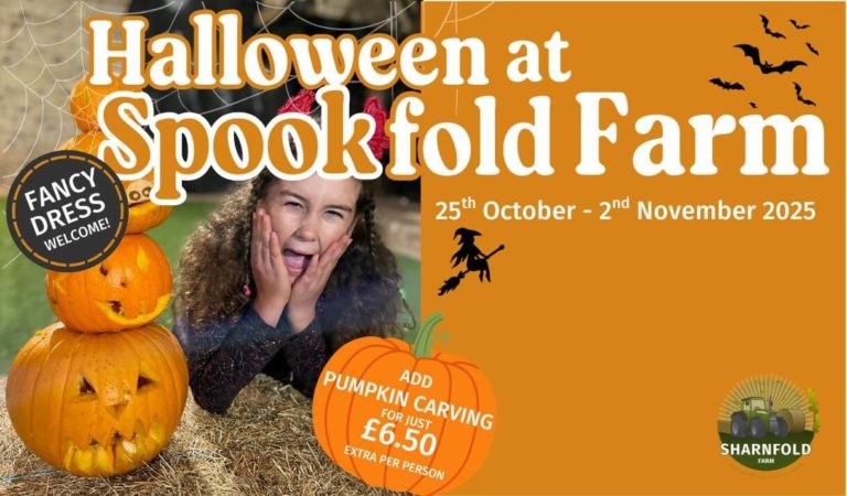 Halloween at Spookfold Farm